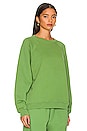 view 2 of 4 The Raglan Crewneck in Sage