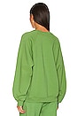 view 3 of 4 The Raglan Crewneck in Sage