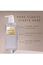 view 3 of 6 LIMPIADOR PORE CLARITY CLEANSER in 