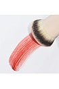 view 5 of 6 Blush Brush in 
