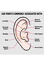 view 4 of 4 Meridian Ear Seed Kit in Gold