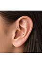 view 5 of 4 Meridian Ear Seed Kit in Gold