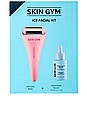 view 2 of 6 KIT FRAÎCHEUR VISAGE ICE FACIAL KIT: ICECOOLIE ROLLER AND HYDRA-YOUTH SERUM in 