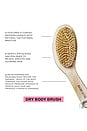 view 2 of 2 Body Brush in 