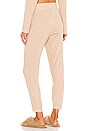 view 3 of 4 Nili Jogger in Fawn Heather