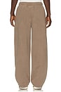 view 3 of 5 PANTALON in Truffle