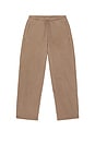 view 5 of 5 PANTALON in Truffle