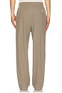 view 4 of 6 Waffle Straight Leg Pant in Mink