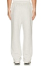 view 3 of 6 PANTALON in Light Heather Grey