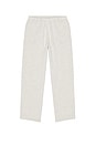 view 5 of 6 PANTALON in Light Heather Grey