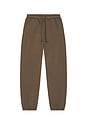 view 5 of 5 Fleece Lounge Relaxed Jogger in Driftwood