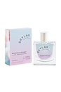 view 3 of 7 Boardwalk Delight Eau De Parfum in 
