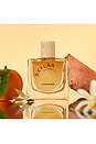 view 4 of 7 Citrus Reverie Eau De Parfum in 