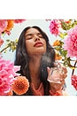 view 6 of 7 Sunkissed Dahlia Eau De Parfum in 