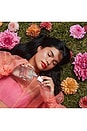 view 7 of 7 Sunkissed Dahlia Eau De Parfum in 