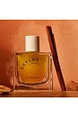 view 5 of 7 Fall Cashmere Eau de Parfum in Gourmand