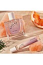 view 4 of 7 Pink Canyon Eau de Parfum in Wood & Citrus