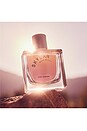 view 6 of 7 Pink Canyon Eau de Parfum in Wood & Citrus