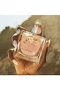 view 7 of 7 Pink Canyon Eau de Parfum in Wood & Citrus