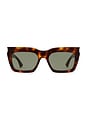view 1 of 3 Rectangular Sunglasses in Havana & Green