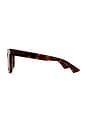view 3 of 3 Rectangular Sunglasses in Havana & Green