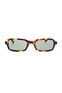 view 1 of 3 SL Logo Rectangular Sunglasses in Havana & Green