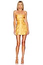 view 1 of 3 Jenny Dress in Golden Yellow