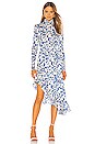 view 1 of 3 Mary Dress in Blue & White Print
