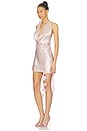 view 4 of 4 Isola Dress in Pink Petal