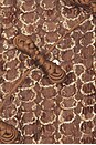 view 4 of 4 VESTIDO GRACIE in Mocha