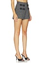 view 2 of 6 Julien Shorts in Grey