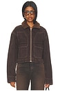 view 1 of 5 Atlas Worker Jacket in Northern Cedar