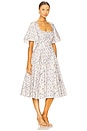 view 2 of 3 The Bluebell Dress in Swan Trellis