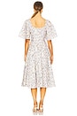 view 3 of 3 The Bluebell Dress in Swan Trellis