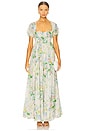 view 1 of 3 The Renfaire Dress in Briar Roses