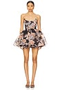 view 1 of 3 X Revolve The Veuve Dress in Paper Roses