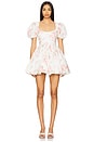 view 1 of 3 The Sofia Dress in Morning Roses