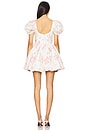 view 3 of 3 The Sofia Dress in Morning Roses