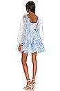 view 3 of 3 The Princess Dress in Baby Blue Toile