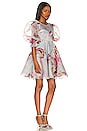 view 2 of 3 The Party Dress in Cupid