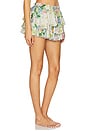 view 2 of 4 The Dauphine Knickers in Briar Rose