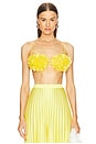 view 1 of 4 Annie Floral Bustier in Tuscany Yellow