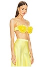 view 2 of 4 Annie Floral Bustier in Tuscany Yellow