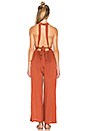 view 3 of 3 Fall for Freedom Jumpsuit in Rust