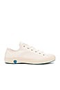 view 1 of 6 SNEAKERS BASSES TOILE CANVAS LOW TOP CANVAS in White