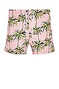 view 1 of 4 SHORT in Palm Tree Print