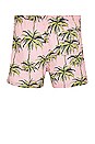 view 2 of 4 SHORT in Palm Tree Print