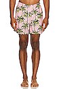 view 3 of 4 SHORT in Palm Tree Print