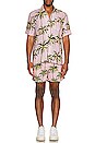 view 4 of 4 SHORT in Palm Tree Print