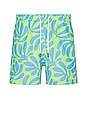 view 1 of 4 The Classic Swim Shorts in Leaf Print